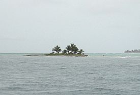 Rocky cay (view from north).JPG