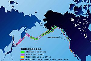 Archivo:Sea-otter-map