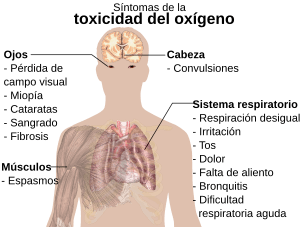 Archivo:Symptoms of oxygen toxicity-es