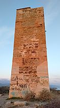 Torre del jaral (4)