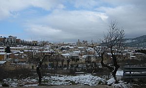 Archivo:Torremanzanas nevado