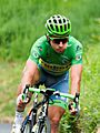 Tour de France 2016, sagan (28562877206)