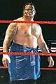 UMAGA