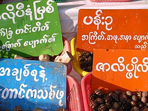 Archivo:Vendeurs de plantes médicinales vers Kyaiktiyo Paya
