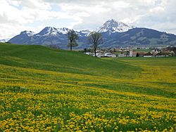 View on Echarlens and mount Moleson, FR - panoramio.jpg