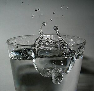 Archivo:2006-02-13 Drop-impact