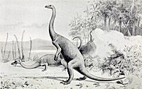 Archivo:Anchisaurus