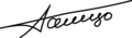Arnaldo Tamayo Signature