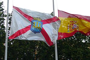 Archivo:Banderas en Logroño