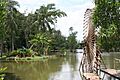 BinhQuoiBambooWaterWheel Jun2005