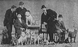 Archivo:Boxer-club-1896