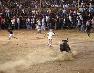 Archivo:Bullfighting. Toros Santa CruzGuanacaste, Costa Rica