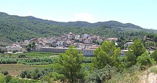 Capçanes. Panoràmica.jpg