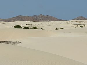 Archivo:Cape verde boa vista deserto de viana 2048x1536px