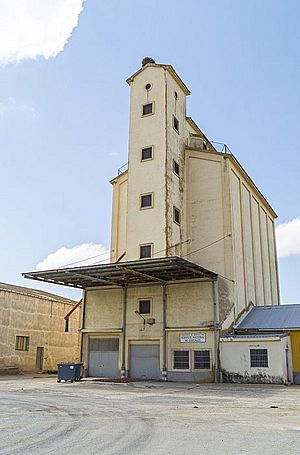 Archivo:Carbonero el mayor-silo-DavidDaguerro