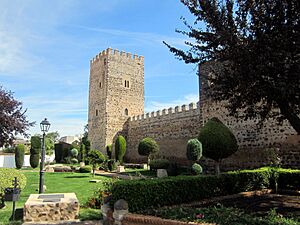 Archivo:Castillo de Bolaños
