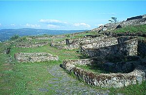 Archivo:Castromao