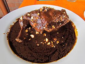 Comida en la Feria del Mole 2014 11
