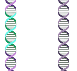 Archivo:DNA transposition