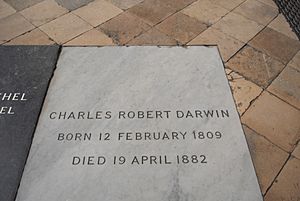 Archivo:DarwinTomb