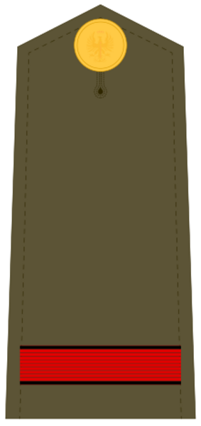 Ejerespadivi01