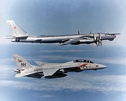 Archivo:F-14 Tomcat VF-114 escorting TU-95 Bear