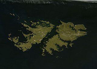 Falkland-Islands-Terra-2011-01-23-250m.jpg