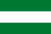 Flag of Pasorapa, Bolivia.svg