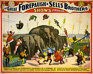 Archivo:Flickr - …trialsanderrors - Terrific flights over ponderous elephants, poster for Forepaugh ^ Sells Brothers, ca. 1899