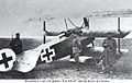 Fokker Dr1 on the ground