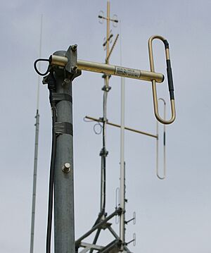 Archivo:Folded dipole