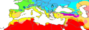 Archivo:Koppen World Map (Mediterranean Sea area only)