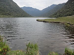 Archivo:Laguna del Cusiyaco