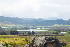 Laguna la herrera 2.jpg