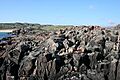 Lewisian Gneiss - geograph.org.uk - 821582
