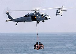 Archivo:MH-60S Sea Hawk