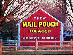 Mail Pouch Barn Advertisement.jpg