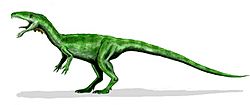 Masiakasaurus BW.jpg