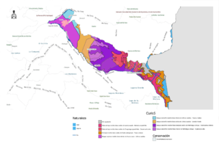 Archivo:Medio ambiente de Chile (2023) - comuna de Curicó