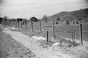 Archivo:Melting snow, Utopia, Ohio, 8a12994a