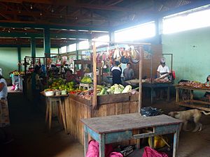 Archivo:Mercado municipal de Manantay