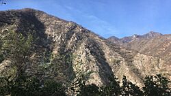 Montañas de la región de Tayoltita en San Dimas, Durango.jpg
