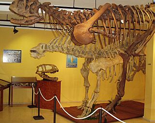 Museoestepona1.jpg