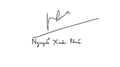 Nguyen Xuan Phuc Signature