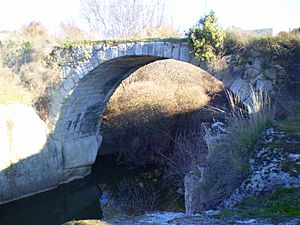 Archivo:Puente del Batán sobre el Manzanares 2