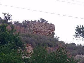 Quesa 2016. 03.jpg