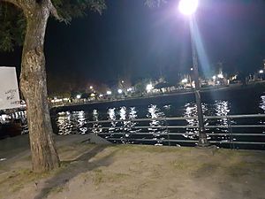 Archivo:Río Luján de noche