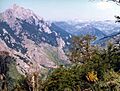 Remolina 1