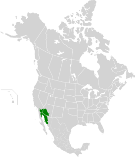 Ubicación del desierto en Norteamérica
