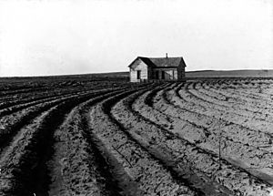 Archivo:Tenantless farm Texas panhandle 1938